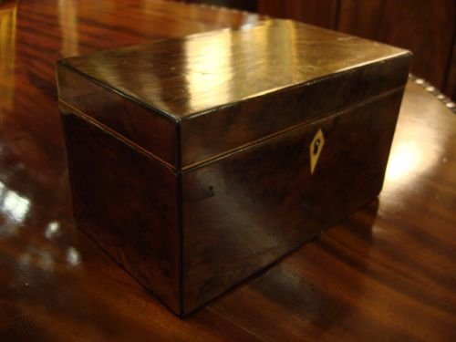 circa 1800 rare georgian burr yew wood tea caddy with ebony and boxwood stringing